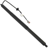 PEIVSO Durable Liftgate Support Strut OE Spec Replacement for Tesla Model S 2012-2019 LH OEM 600661000B